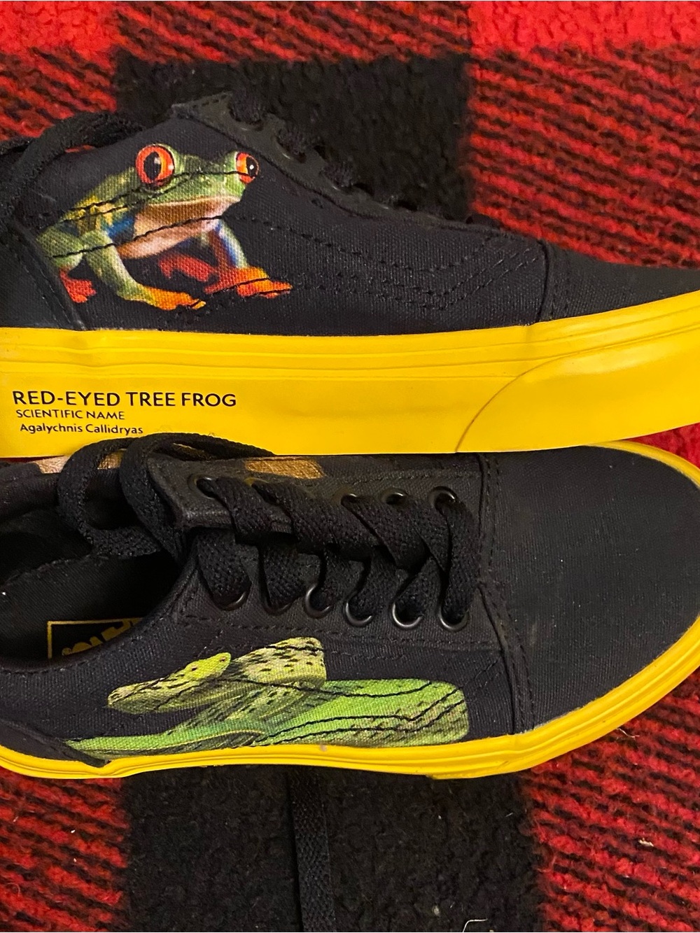 Vans Kids National Geographic collector sneakers